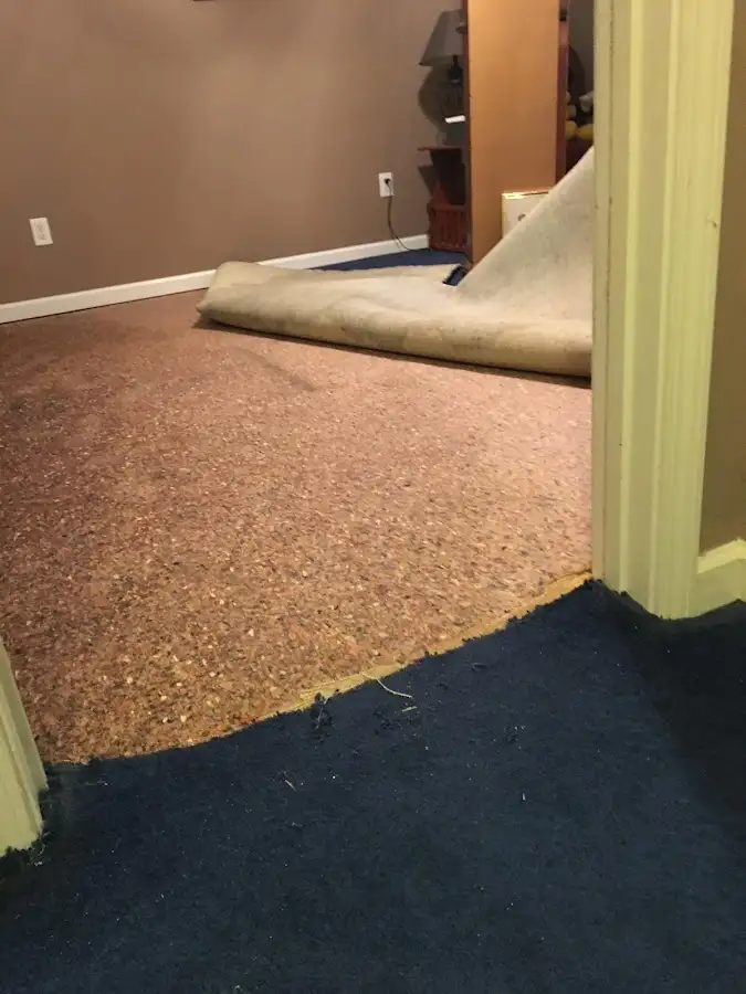 Carpet pad removal revealing water damage during Water Mitigation Services in Westmont