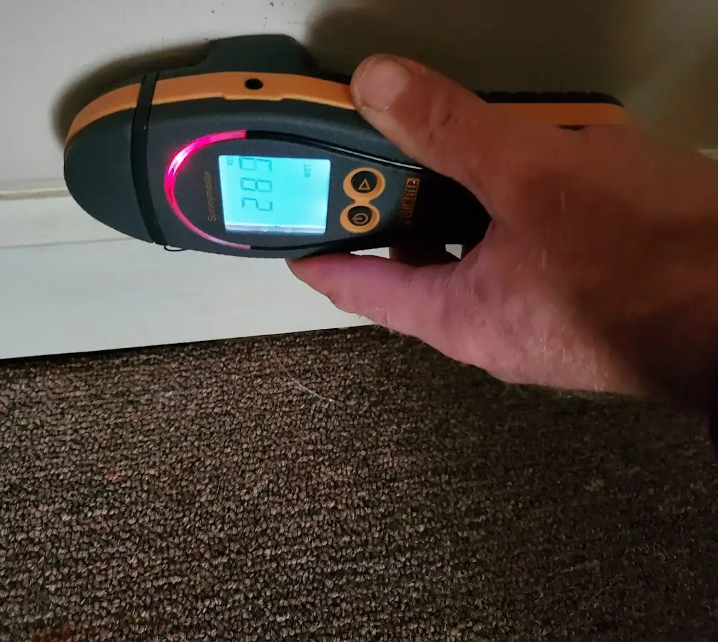 Moisture detection at baseboard during Sewage Cleanup & Sanitation in Westmont